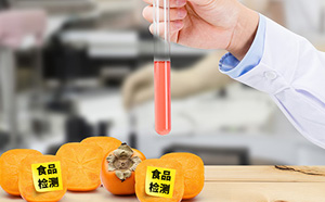食品添加劑檢測